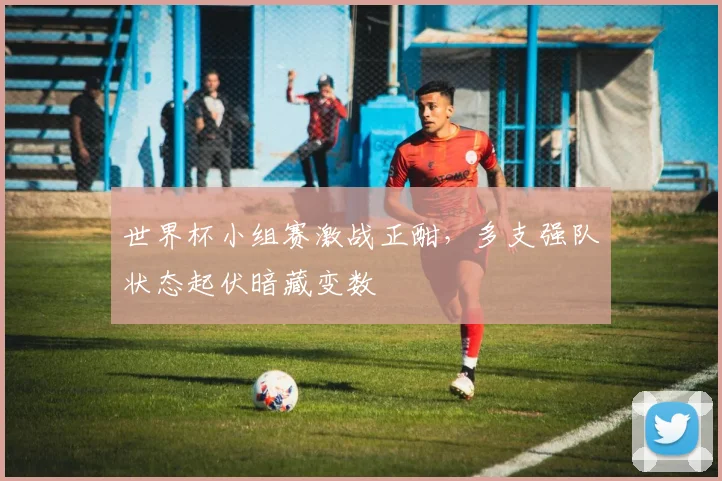 世界杯小组赛激战正酣，多支强队状态起伏暗藏变数